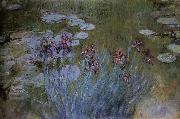 Claude Monet Irises and Water Lillies USA oil painting artist